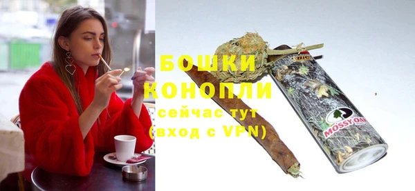 PSILOCYBIN Ладушкин
