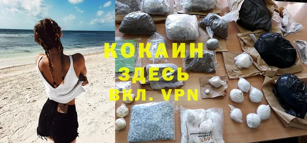 PSILOCYBIN Ладушкин