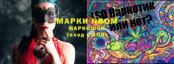 PSILOCYBIN Ладушкин