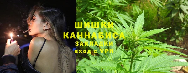 PSILOCYBIN Ладушкин