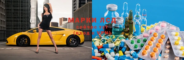 PSILOCYBIN Ладушкин