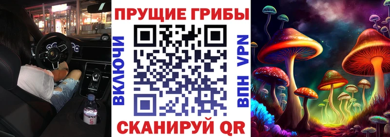 Галлюциногенные грибы Magic Shrooms  Ряжск 